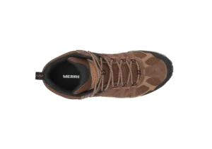 Accentor 3 WP Earth