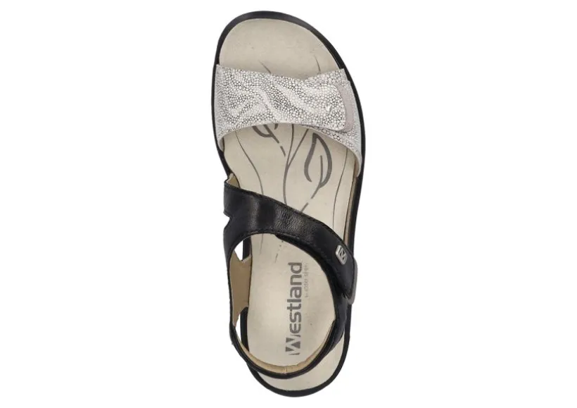 annecy__black_mult_2.webp Annecy 01 Black Mult