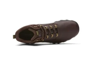 CSP Plus PT Choclate