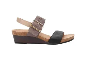 Dynasty Black Multi