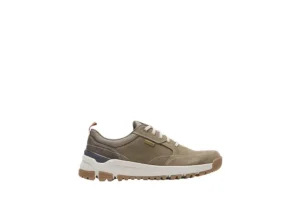 Glastonbury Olive