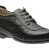 Lexington Black