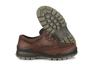 Men's Track 25 Bison Brown Leather Gore-Tex Waterproof Shoe