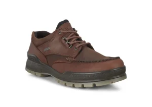Men's Track 25 Bison Brown Leather Gore-Tex Waterproof Shoe