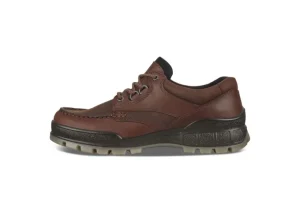 Men's Track 25 Bison Brown Leather Gore-Tex Waterproof Shoe