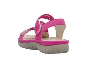 Nabukino Fuchsia