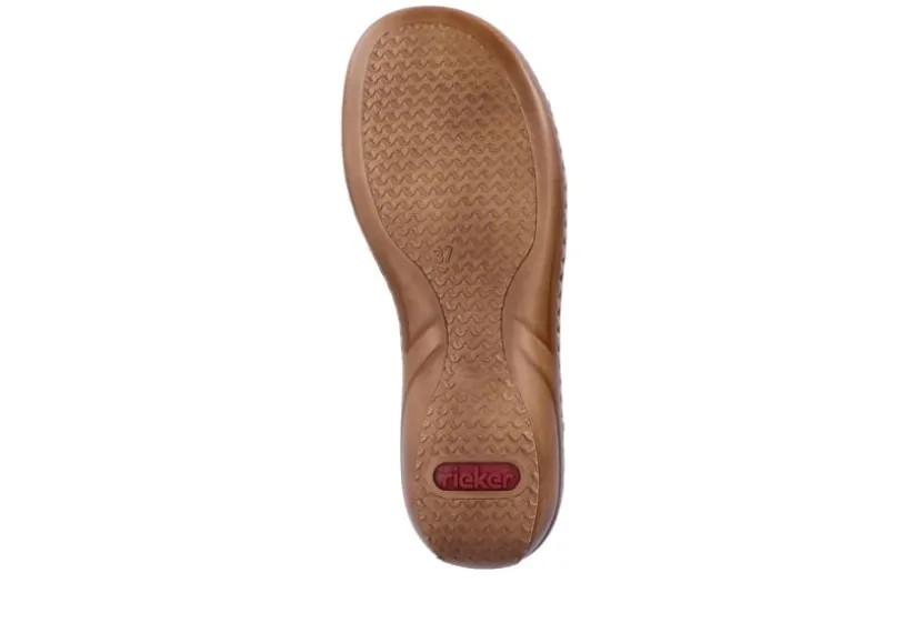 newhaven_multi_2.webp Newhaven Multi