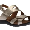 Ridge Asym Metallic