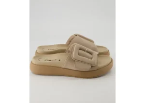 Slide Desert