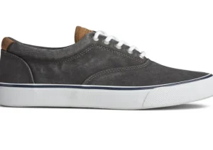 Striper II CVO Black Canvas Lace-Up Sneaker