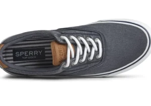 Striper II CVO Navy Canvas Lace-Up Sneaker