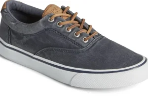 Striper II CVO Navy Canvas Lace-Up Sneaker