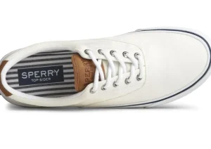 Striper II CVO White Canvas Lace-Up Sneaker