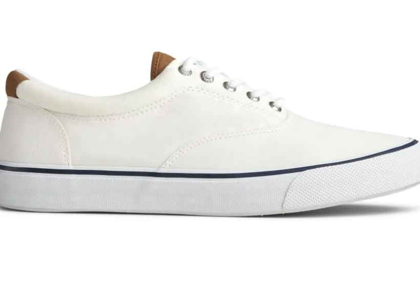 striper_ii_cvo_white_canv_1.webp Striper II CVO White Canvas Lace-Up Sneaker