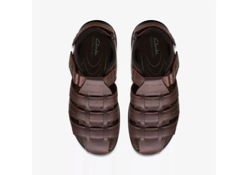 walkford_fish_brown_2.webp Walkford Fish Brown