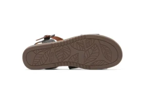 Zion 2 Black